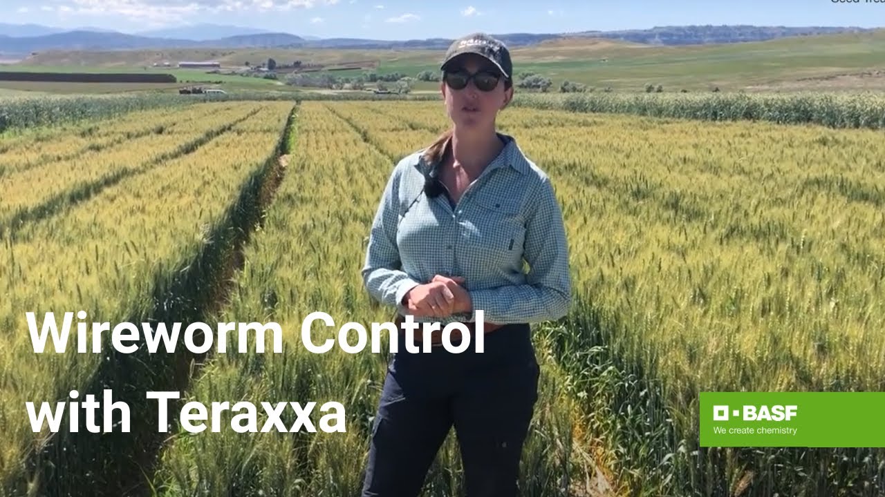 Understanding the Reddy Anna ID: Features, Benefits, and Its Role in the Reddy Book Club Community